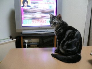 x1pxOYwqu4SjF72lDWSTueOUj6CJcmwod4xNLz6P20uc4s13b3fYGkUAVqlGHHRkRLV_rCLj42inBXpHGLTef8Z-zQND9OUkZ0CGDdSTu2RS9alW-sv1Qzhxkizq-2_fEm2Ta2MS1ZxRVcm1zB-jIw1kHPqBaTWW9Fh.jpg