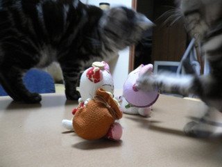 x1pxOYwqu4SjF72lDWSTueOUj6CJcmwod4xNLz6P20uc4trPN9bqVbpOiwedHvaOxubSoaUtQeUoJXmpDJdefFkO1E4Q_REXk3OwKwl-FOQb16hvcCFZzqrnhv8aSNgkY-0pQrrFrfcaIiLFKfjWaVNHr72od6iymA3.jpg