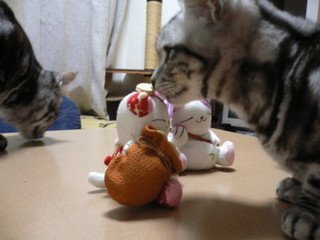 x1pxOYwqu4SjF72lDWSTueOUj6CJcmwod4xNLz6P20uc4v0tM0dNP2R4acDhbLAJ50Ff7Ih79DNysYYdw4fcMBQPb6L1jipj4HfDqg5hZTE9Hrp1gzC0pEuOJ9OJKChAeQmksz6yLe_N027fLgV5279Xzt1wviuGq5j.jpg