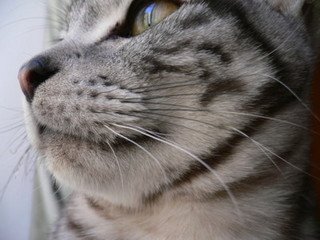 x1pxOYwqu4SjF72lDWSTueOUj6CJcmwod4xNLz6P20uc4v6FJpLJjX2io8EBOW264d8g7OlrPXhnseESyarTZ78eAdz9z-wkMDPfRuVjSlVMFPSlAb1dA9omT9Ig3WLa5letHWTZg3DkyeMCRZ8R9xYHQ.jpg