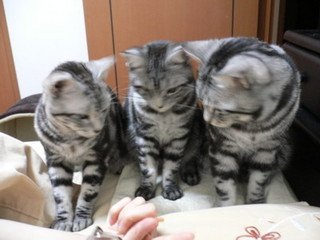 x1pxOYwqu4SjF72lDWSTueOUj6CJcmwod4xNLz6P20uc4vNhbItGU72ivdSvDsDHZrQBBrB_BFz4MtqIiMC5r4LJBkIr6cRPo1pnyxmX64kJElVq9Na-JjK7U5epPT0mmIA_VmLLO5F-Cc3LGyvUjvqeNqwMmYtw2UL.jpg