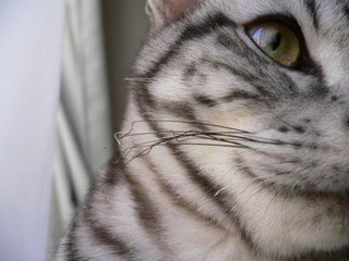 x1pxOYwqu4SjF72lDWSTueOUj6CJcmwod4xNLz6P20uc4vYuZeMUyLGwWkdOLdnNEimeGe9kCyjC14OHgjPsTjyPKwNpNwTZumgBdx4MgITgMu-KQ2uWlyQELiO2zQFen8wA8jPfb808JG1Y_u0uPirGOh92HrulPN3.jpg