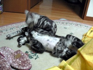 x1pxOYwqu4SjF72lDWSTueOUj6CJcmwod4xNLz6P20uc4va0gdBfQnvtjXJrMEstz2Gy67xd-ujhFjaeDnZQ2Idepm06N-jNfSlZ3uJ2T0EZwpY_XvGv2EppctP6oaW5bY7mjgBCwZ_5FcpqeLkx2w3f4B1I-QsbFwj.jpg