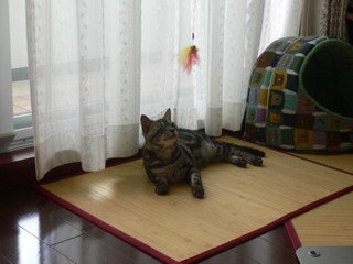 y1pgnF4xCvBn7MnxBrbwmAl7kRHll3luuxHFMig-aHGqbwUSvFv-lHYCTCmhev4ViRn.jpg