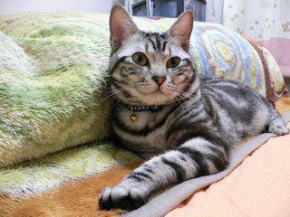 x1pxOYwqu4SjF72lDWSTueOUj6CJcmwod4xNLz6P20uc4sdePsVyJrYadB8v_WaxEaSg-CpyDfBqxobnwAz9Wuq0EuOgpNxEFLIPamThhFwuse23HiBE9oQzA.jpg