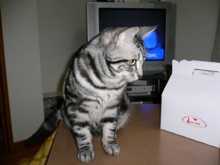 x1pxOYwqu4SjF72lDWSTueOUj6CJcmwod4xNLz6P20uc4t24uvd3gTcFoIf6m5DNfibSosH7lqFN48lOrJD4m9FWRWp9Dzs8HI7PFDeTW283NUqZivAIwCniw.jpg
