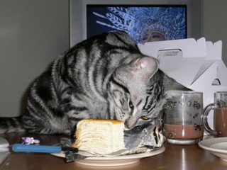 x1pxOYwqu4SjF72lDWSTueOUj6CJcmwod4xNLz6P20uc4uWKDtszmuU_jAjAKgPRmbxPWOez_hxQHeWrLoYtTAX0Gj4gj4mSoc7u_AlrqeTNiYeS0VBF-3vQw.jpg