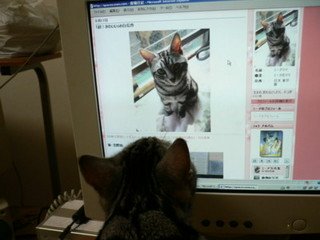 x1pxOYwqu4SjF72lDWSTueOUj6CJcmwod4xNLz6P20uc4vOgcWa3KDnLM2NZJZA6_wP7bwP-wACW8HTyDdTe_7GiCPV8Ql_0C2j8G-SNBBV4R54cJ98ZYmOyw.jpg