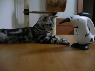 x1pxOYwqu4SjF72lDWSTueOUj6CJcmwod4xNLz6P20uc4vVUGkJnfb7lcmUBoFSLSr-W5fMLKfdI1mmCLLD42hKk9BzDo1w7u9dUEFomgKZGeiKxfPL_uCfKnNxIuOnhwIhicQnRqTUI2NSx-7NOunACBe_RopBlaqi.jpg