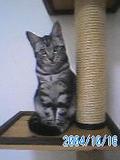 y1pGB6PzuSn78XPCVFusDYmQpyc3HQtWZ6F2Edb87fCJhvKnF0WsWA8aw7aqmyxYVl0.jpg