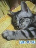y1pX4sxOpbBrOD68pBnC8sTQwxDh4lBPM4Y3TgwFbyfbu6kXnwEu4-iuivnVxSKqoiRNjA7v33ZLm0.jpg